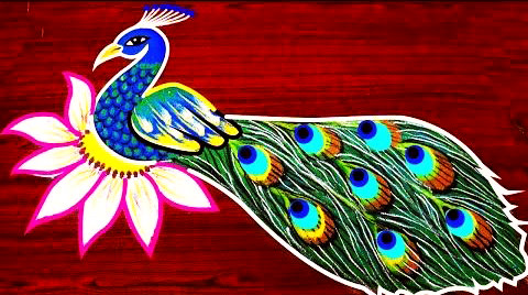Full Peacock Rangoli Design