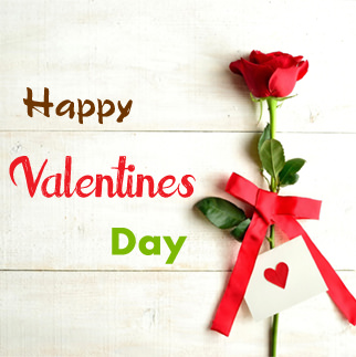 Valentine's Day DP for Whatsapp | 14th Feb HD Love Images for BF GF