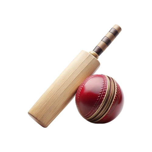 Bet on major cricket tournaments at Melbet.