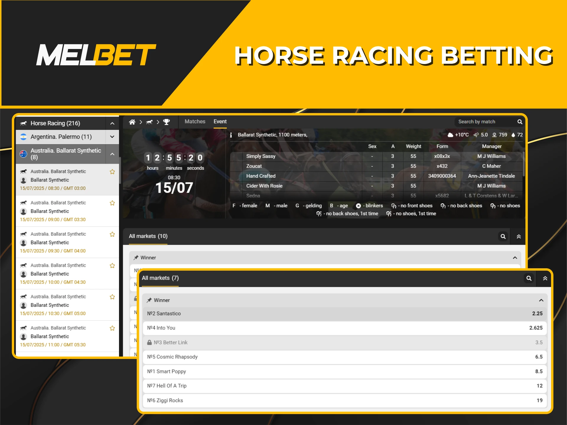 Make bets on horse racing at the Melbet bookmaker.